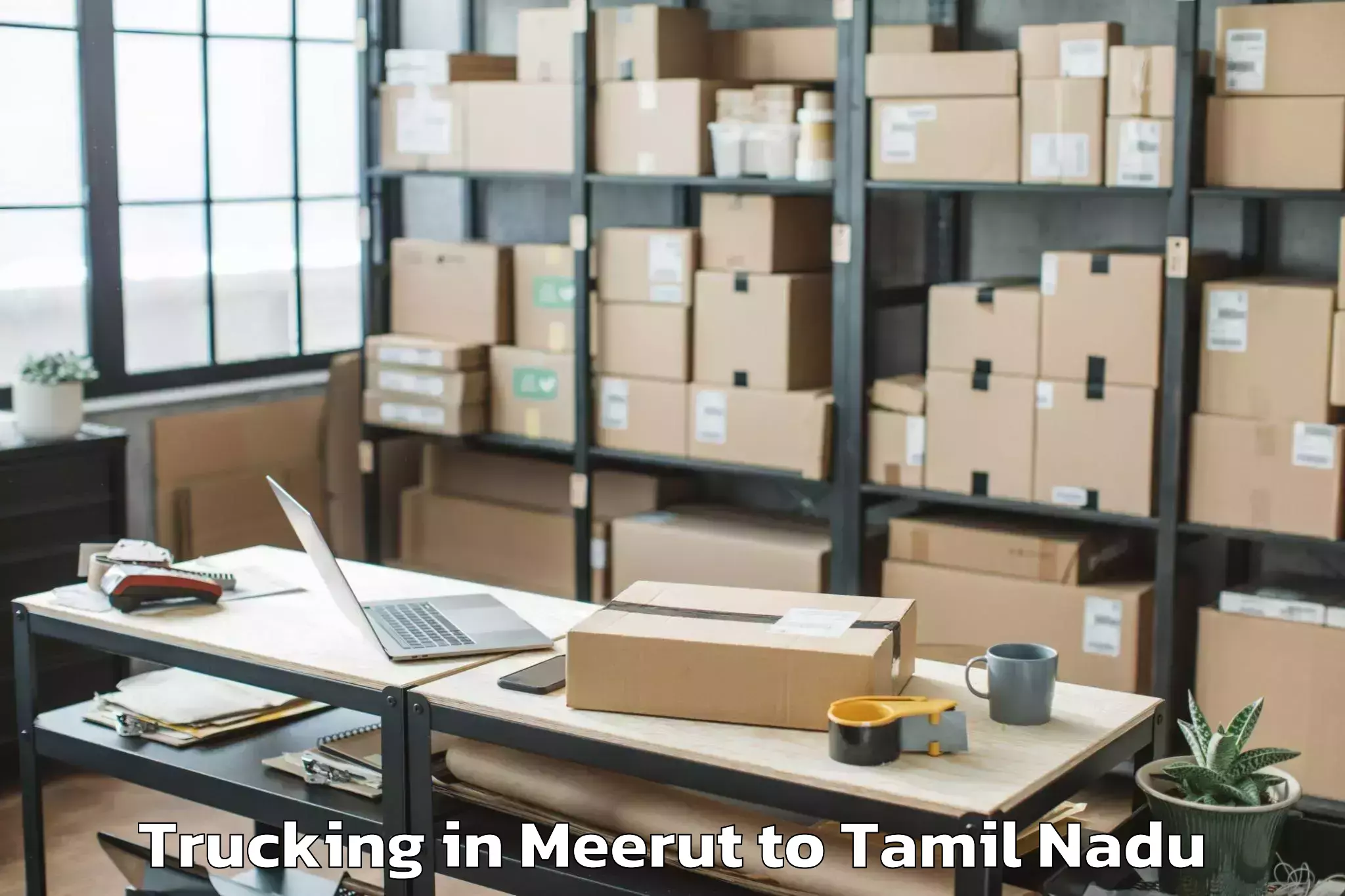 Book Meerut to Taramangalam Trucking